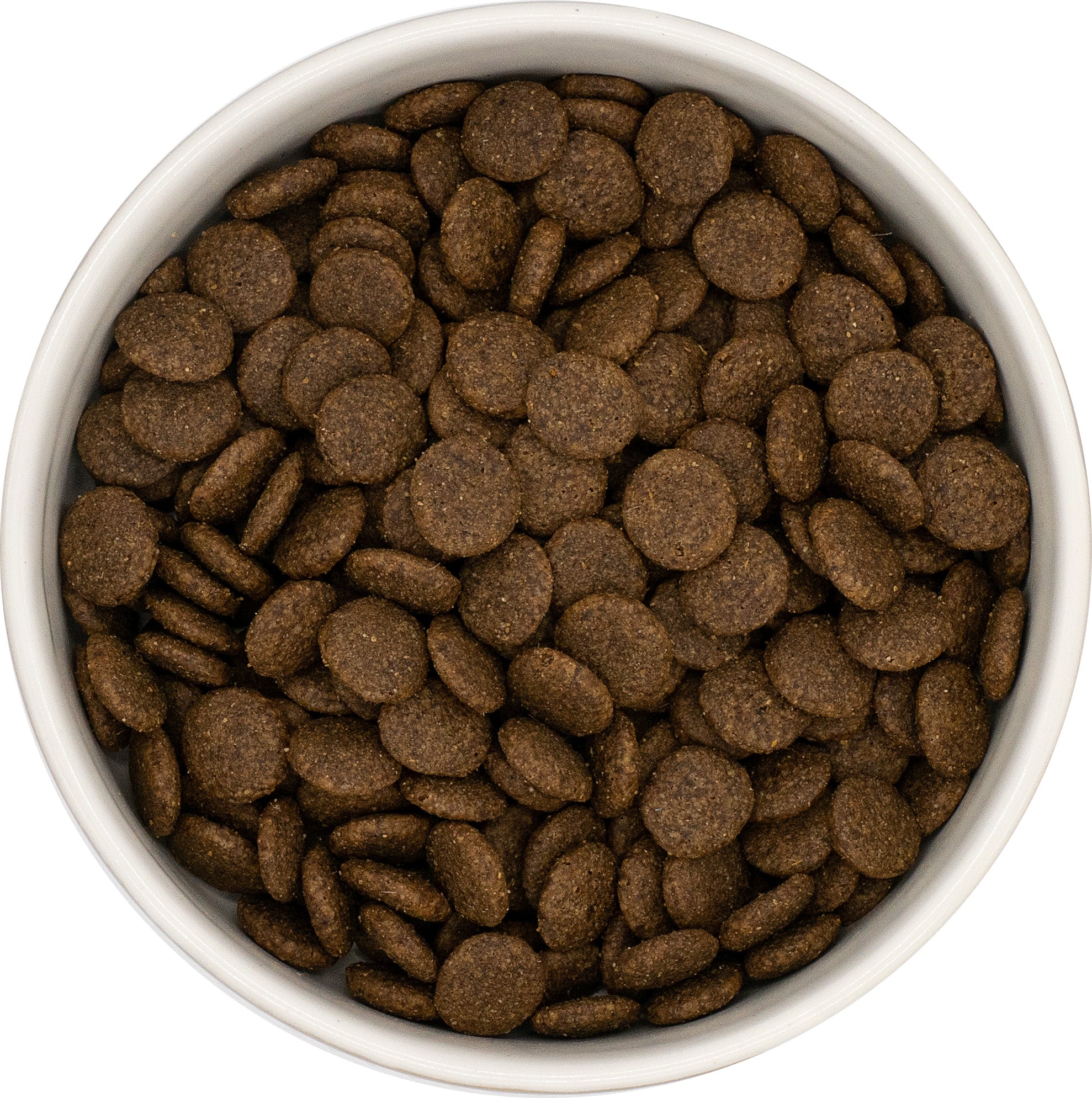 DOGLUXE - Angus Rind für mittelgroße und große Hunde