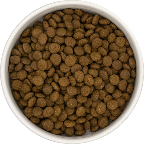 CATLUXE - Katzenfutter Huhn mit Reis