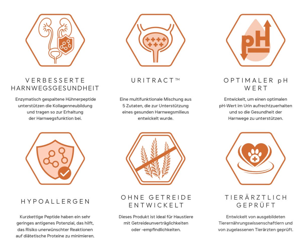 CATLUXE - Katzenfutter Veterinärlinie Urinary care
